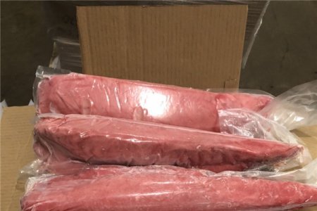 Tuna fillet vacuum pack